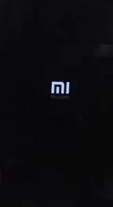 As the mi logo appears and vibrates then release only the power button.