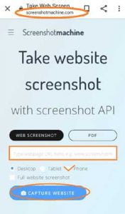  click on the "Capture Screenshot" option
