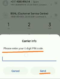 enter the 6 Digit PIN Code of your area and tap to the send button