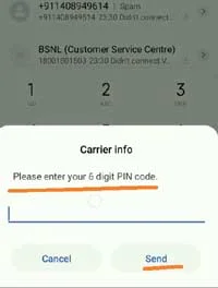 enter the 6 Digit PIN Code of your area and tap to the send button
