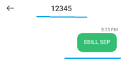 Send EBILL SEPTEMBER Message to VI 