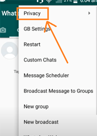 gb whatsapp privacy