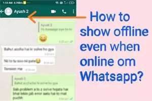 How to show offline in whatsapp when i am online
