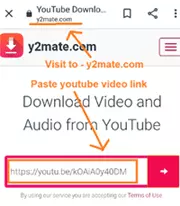 Long press the cursor and paste the link of a particular youtube video