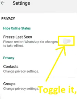 Now, toggle the freeze last seen option to freez last seen whatsapp.
