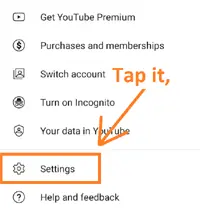 Open the youtube app and tap on your profile icon and then click on the settings option.