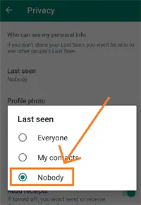 Tap on the Last seen option and select the nobody option.