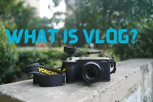 what is vlog