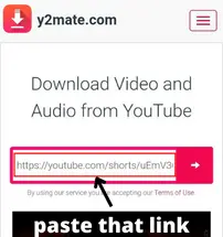 Hold the cursor and paste the shorts link there on y2mate.com