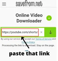 Visit savefrom.net and paste the link in the blank space.