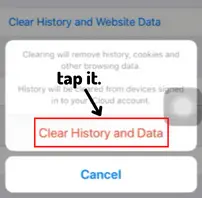 clicking on "clear history and data
