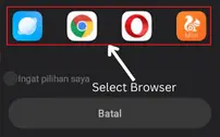 select any browser of your mobile
